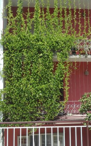  Apartment Lolita in Split
