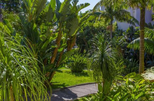 Dorisol Buganvilia Studio Hotel - image 13