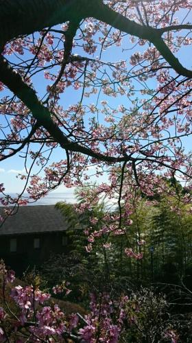Chikurinan Mizuno Atami