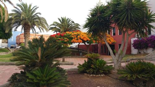  Casa Bambú in Puerto del Rosario