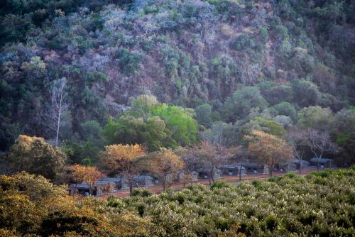 Lions Rock Rapids - Luxury Tented Camp Hazyview