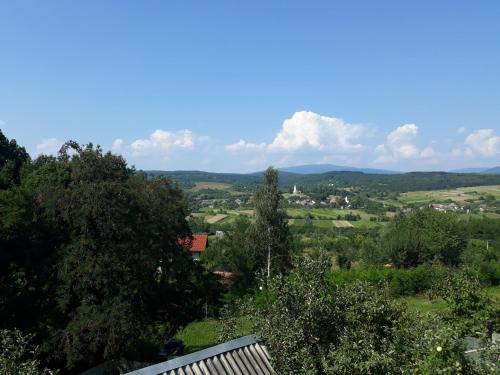 Skats, Котедж "Лісовий затишок" (Котедж "Лісовии затишок") in Perečina