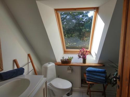 Petersholm Room Type - Apartment with Garden View