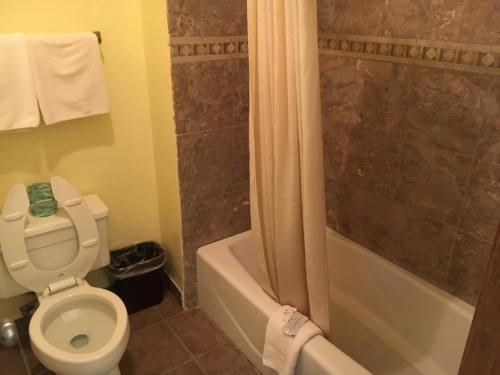 Executive Inn Odessa - image 2