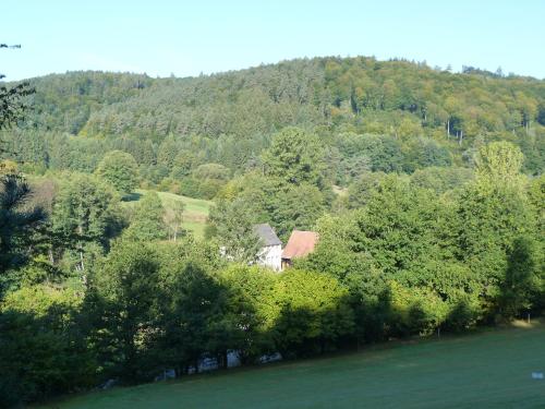 Landgasthof Geiersmühle - image 12
