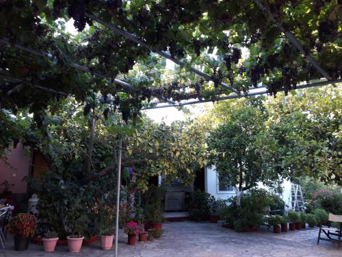  Villa Nouli in Sarakiniko