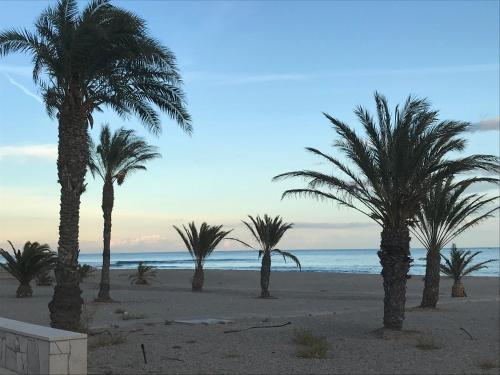 Casa Franch Casa Franch