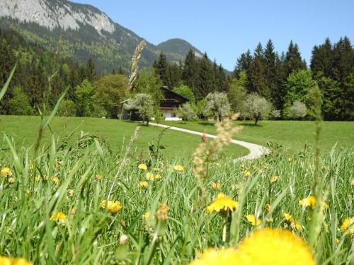 ทัศนียภาพภายนอกโรงแรม, Bauernhof Hintenberg in อินเนนชตัดท์