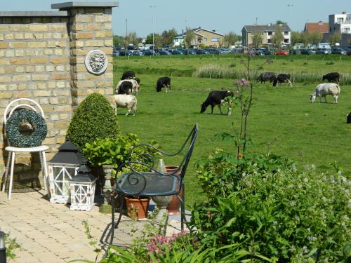 Bed & Breakfast Het Zilte Zand - luxe ontbijt - gratis parking - Westende Middelkerke – Westende, UT
