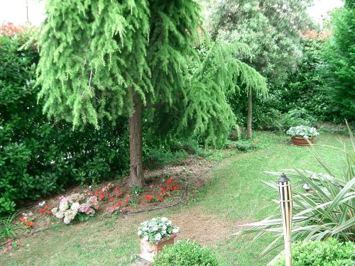 B&B Casa Boscolo - image 12