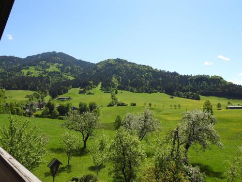สภาพแวดล้อมโดยรอบ, Bauernhof Hintenberg in อินเนนชตัดท์