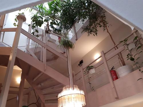 設施, Fiore Gästezimmer (Fiore Gastezimmer) in 埃塞爾巴赫