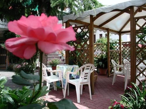 Albergo Hotel Garden Ristorante - image 8