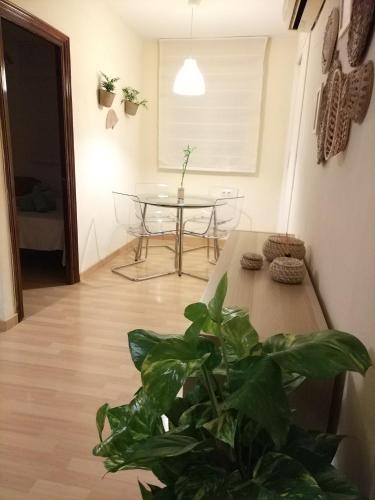Apartamento Málaga Picasso, Málaga (fotografie 7)