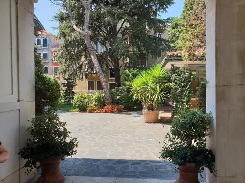 Patch of Eden, Venice