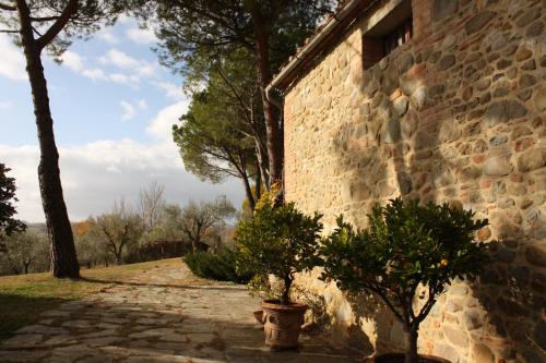 Casale degli Ulivi - image 3