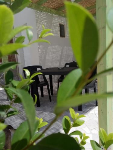 Il Vicoletto Il Vicoletto