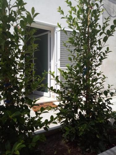 Il Vicoletto Il Vicoletto