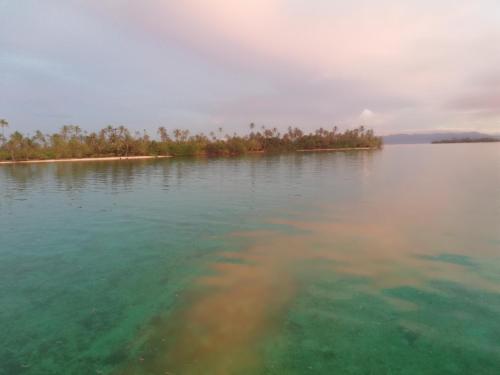 Play to Live San Blas in 埃波班尼