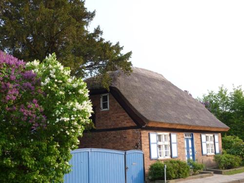 Alte Kate mit Bau-& Zirkuswagen im Gartenidyll in Putbus OT Kasnevitz