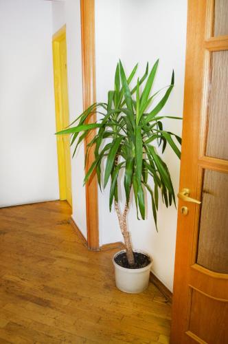 Hostel Golden Gates - image 13
