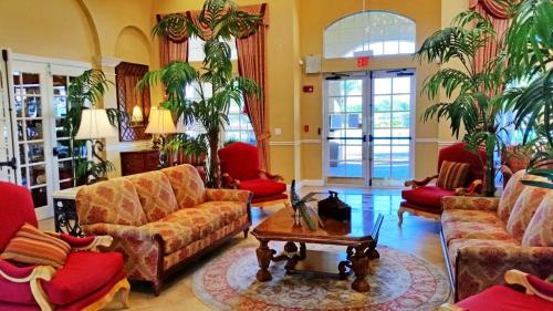 Orlando Comfort - image 8