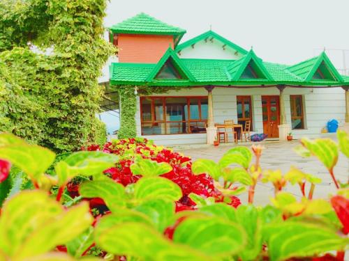 

Fitness De Royale Organic County