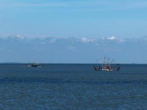 Nordsee Lodge - image 4