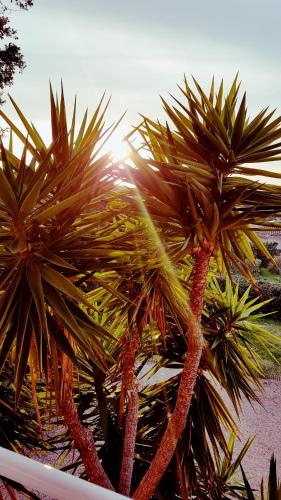 Villa vue mer gîte à louer Plage d'Agosta