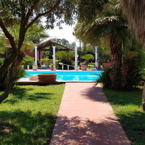 L'oasi di Ambra 4