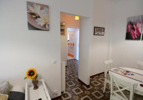 Faciliteiten, Le Palme 98 "Casa Vacanze" in Lido di Camaiore