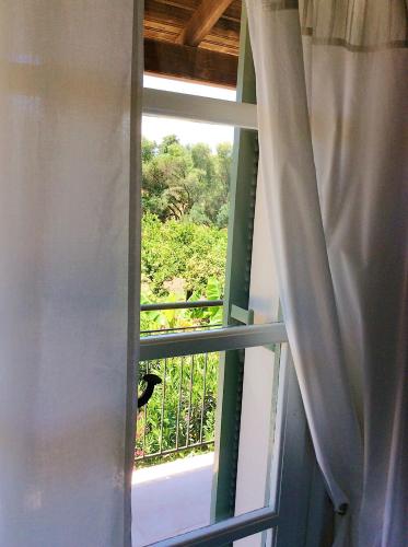 Kefalonia apartments - 2 bedroom apartment in orchard, cute veranda, ground floor