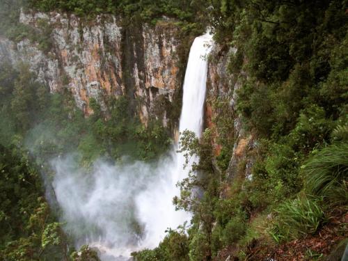 Springbrook Lyrebird Retreat