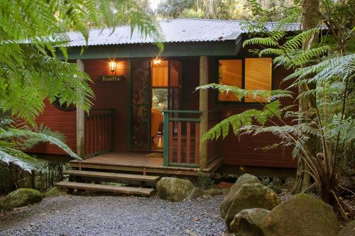 Ulaz, Springbrook Lyrebird Retreat in Springbrook