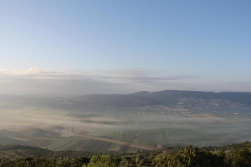 Ananda in Hararit