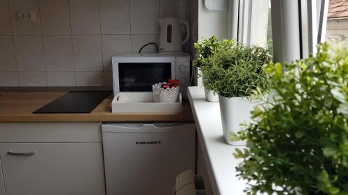 Apartments Spring - image 12