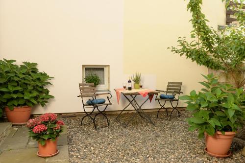 Hortensiensuite in Pirna, Deutschland