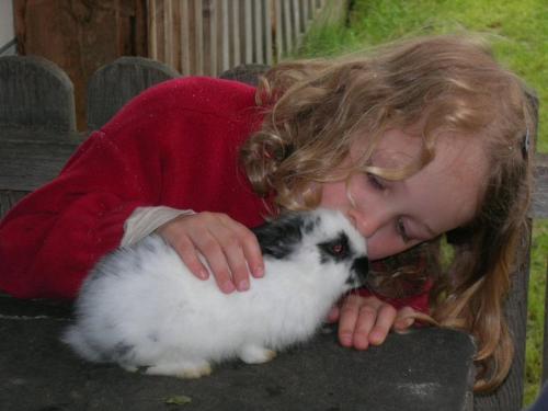 Hansalagut - image 2