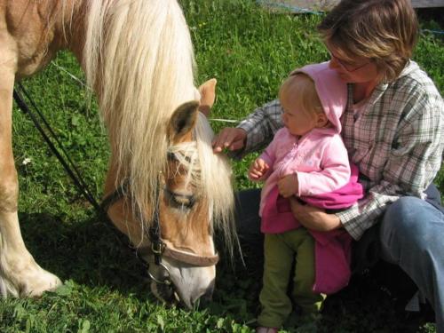 Hansalagut - main image