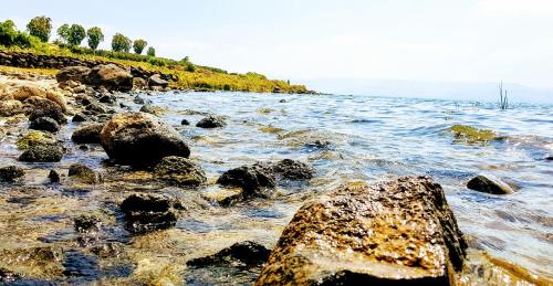 Beach, Tiberias in Tiberias