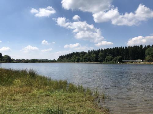 Holiday home Ferienpark Am Waldsee 1 - image 3