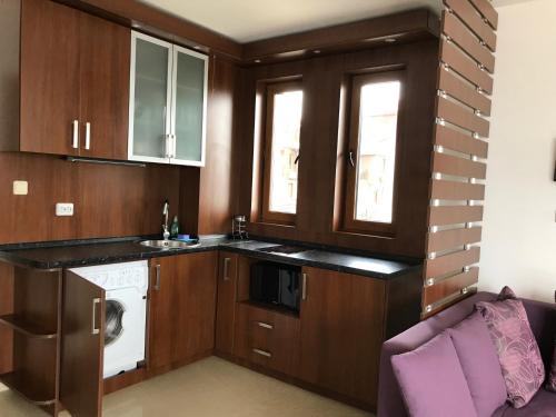 One-Bedroom Apartment with Terrace and Sea View image 10