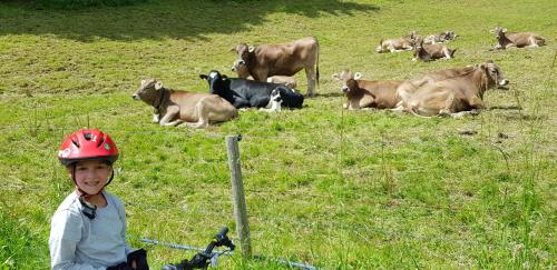 Ferienwohnungen am Schlossberg Oberstaufen - image 3