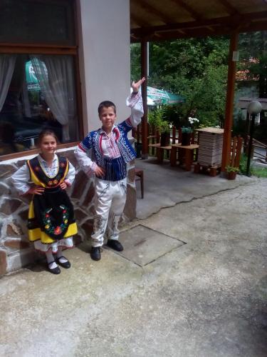 Family Hotel Shisharka - image 3