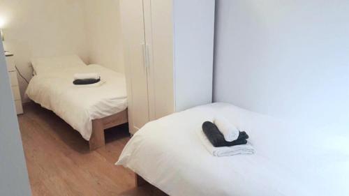 Olea apartment