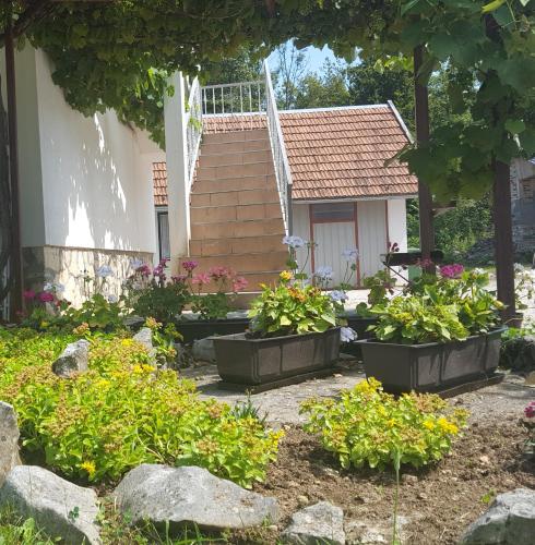 House Luketić