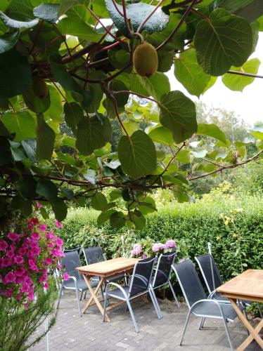 حديقة, Hotel Garni "Adria" in ويندهاجن