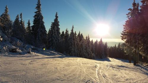 Sport és szabadidő, Apartmán Nerudovka (Apartman Nerudovka) in Kasperske Hory