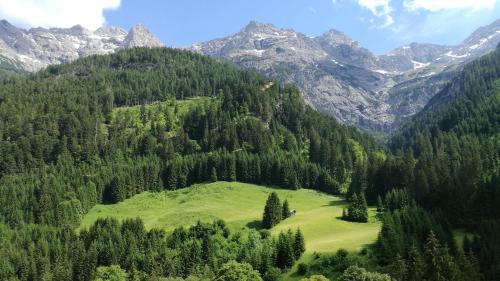 Landgasthof Adler