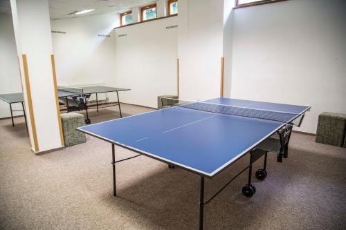 Parkhotel Harrachov - image 8
